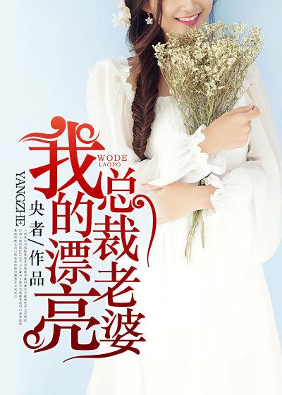我的美女总裁老婆杨辰全文