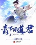 青君道人书法