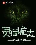 灵猫侦探