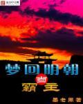 梦回大明