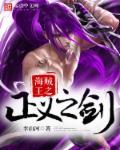 海贼王之正义txt