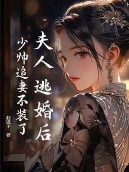 少帅夫人又逃跑了