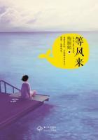 等风来的句子唯美短句