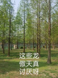 除了龙傲天还有什么