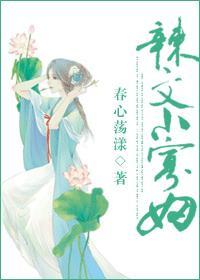 辣文小寡妇np