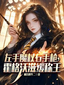 hp霍格沃兹教授