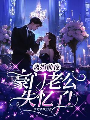 第一章离婚前 老公失忆了