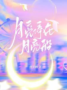 停在月亮上面是什么歌