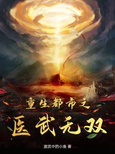 医武双圣重生都市