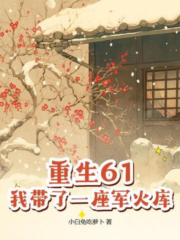 带着军火仓库重生