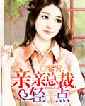 总裁轻轻要