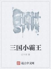 小霸王三国单机游戏
