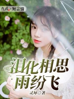 泪水化作相思雨是什么歌