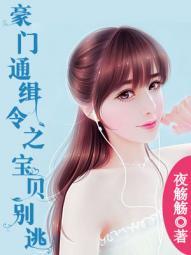豪门追妻令 宝贝别逃