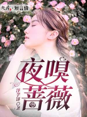 蔷薇夜骑士