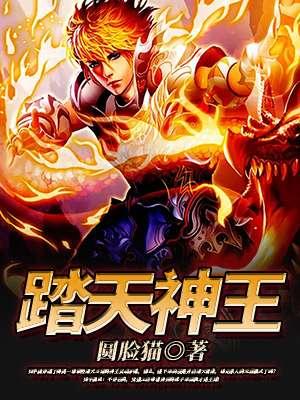 踏天神王九库