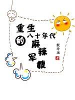 八零年代的麻辣军嫂全文+番外