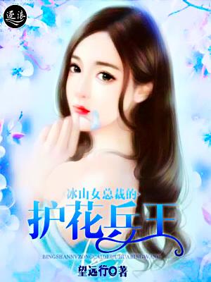 冰山女总裁的护花兵王免费阅读