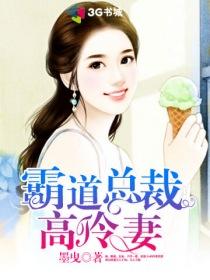 霸道总裁的高冷女总裁