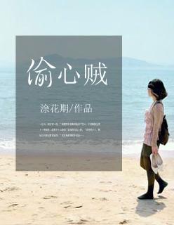 偷心贼比喻什么人