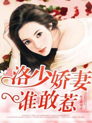 作者洛少全部