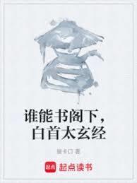 谁能书阁下白首太玄经接口卡