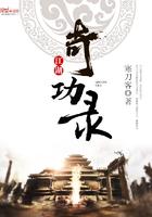 江湖奇功录起点中文网