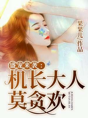 机长大人别那么傲娇
