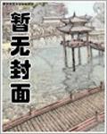 穿越第三帝国的故事