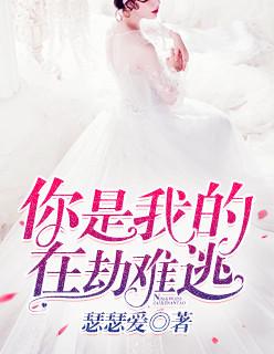 你是我在劫难逃短剧免费观看高清