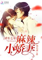 那年与你共芳华大结局