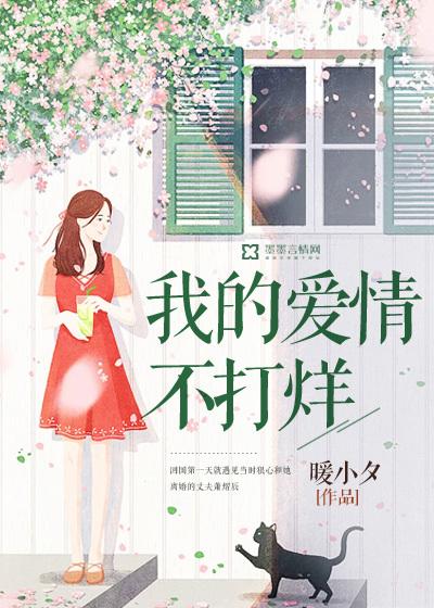 我的爱情不打折全文免费阅读