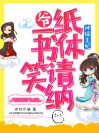 穿越之神探王妃平冤记