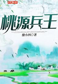 桃源盾兵书