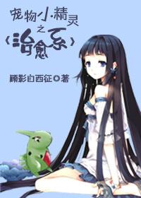 宠物小精灵系统完结