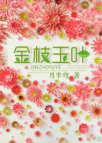 金枝玉叶张国荣