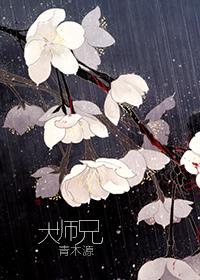 大师兄在线完整免费观看高清