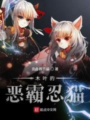 木叶之恶霸忍猫无弹窗