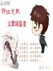 邪性总裁求轻虐颜一佳
