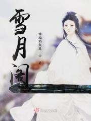 雪月阁犯法吗