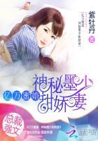 亿万蜜婚神秘墨少甜娇委