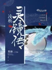 灵镜传奇的