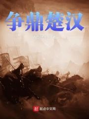 楚汉争鼎顶点