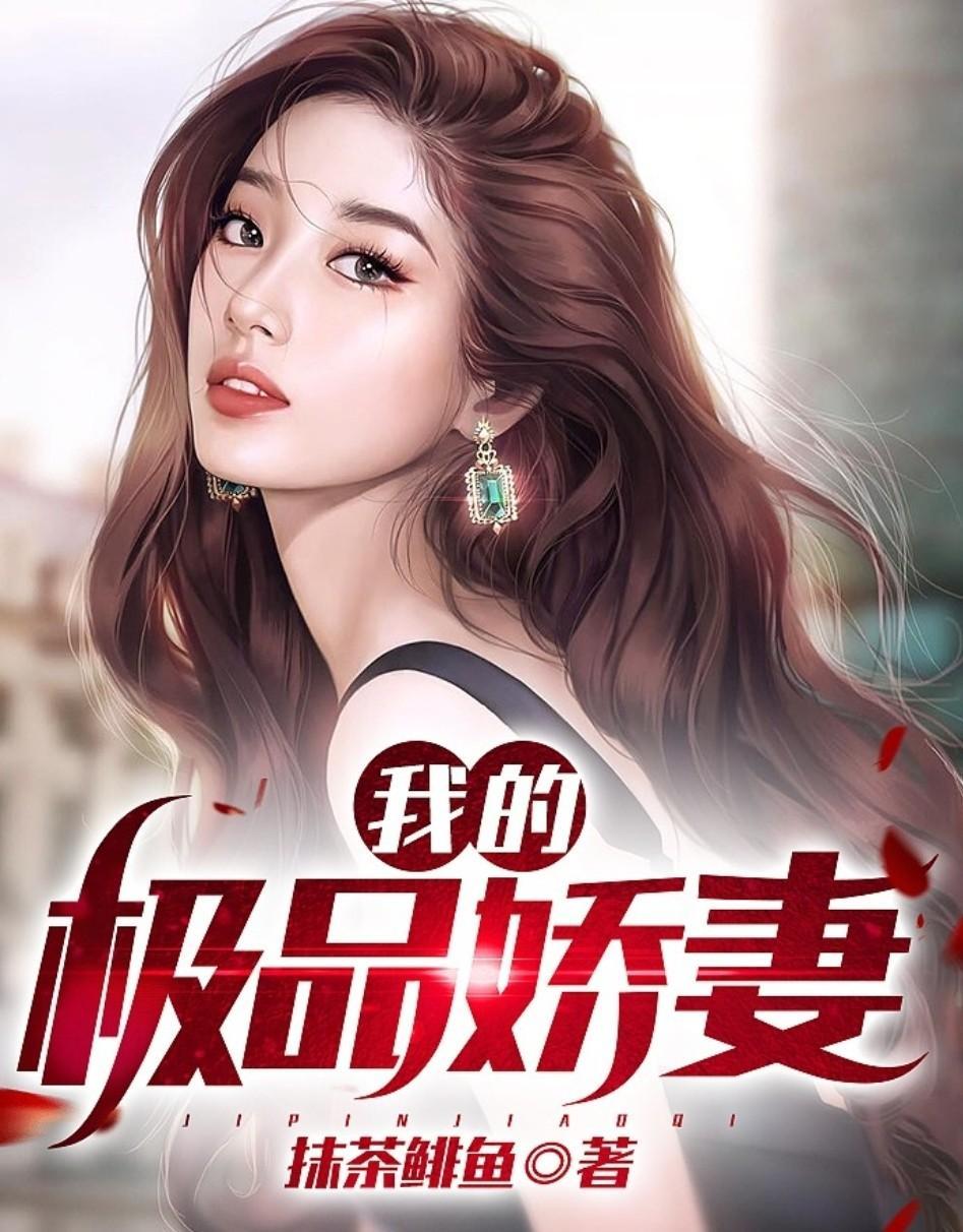我的极品老婆电视剧