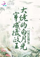 穿成摄政王心