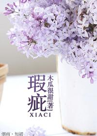 瑕疵近义词