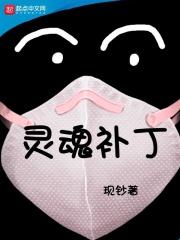 灵魂mod攻略