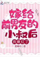 嫁给前任的小叔叔