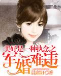 盛世军婚长宇宙全文阅读