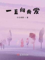 一直向北走歌词